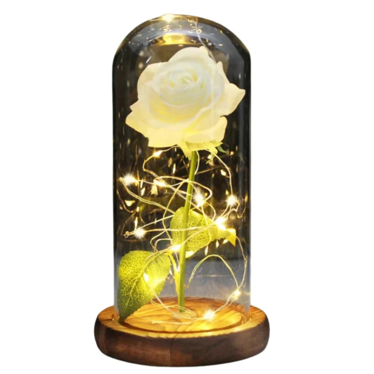 Enchanted Rose Light Dome — Everlasting LED Rose Under Glass Dome Gif02 Brown Base White 